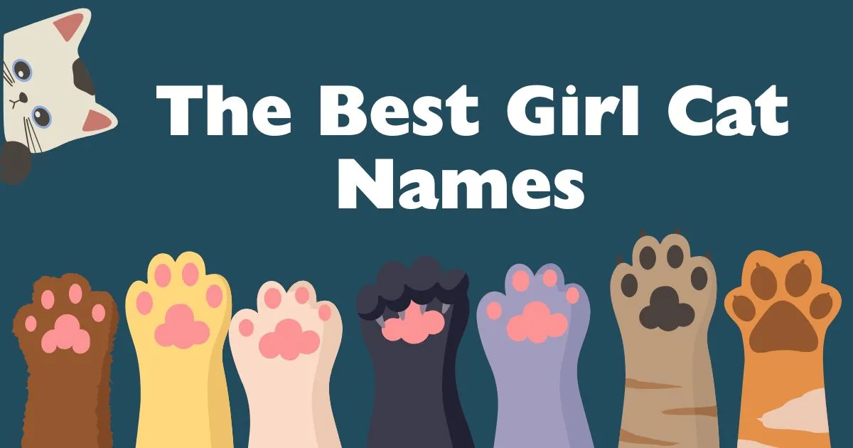 girl cat names