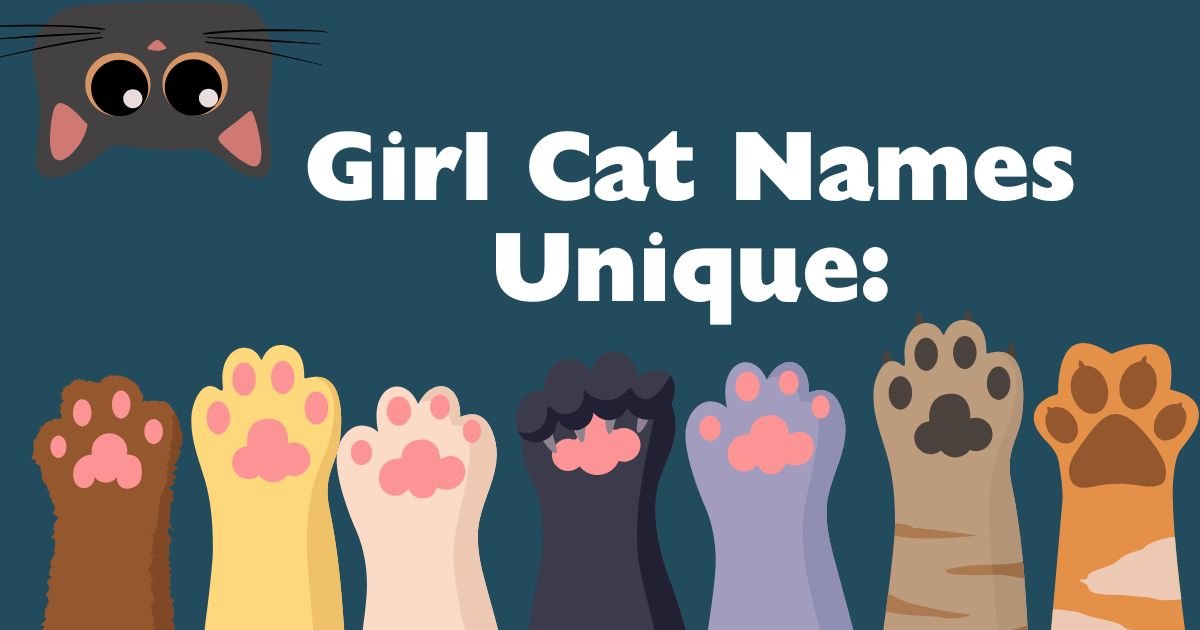 500 girl cat names unique