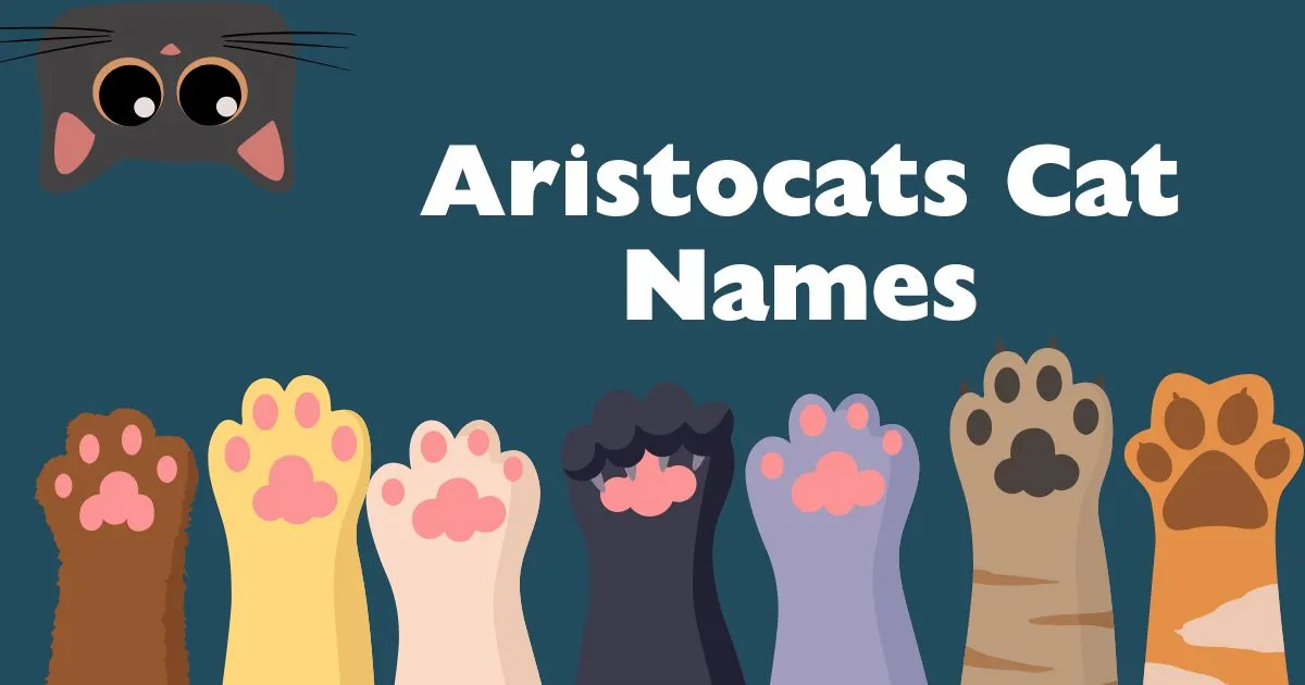 aristocats cat names