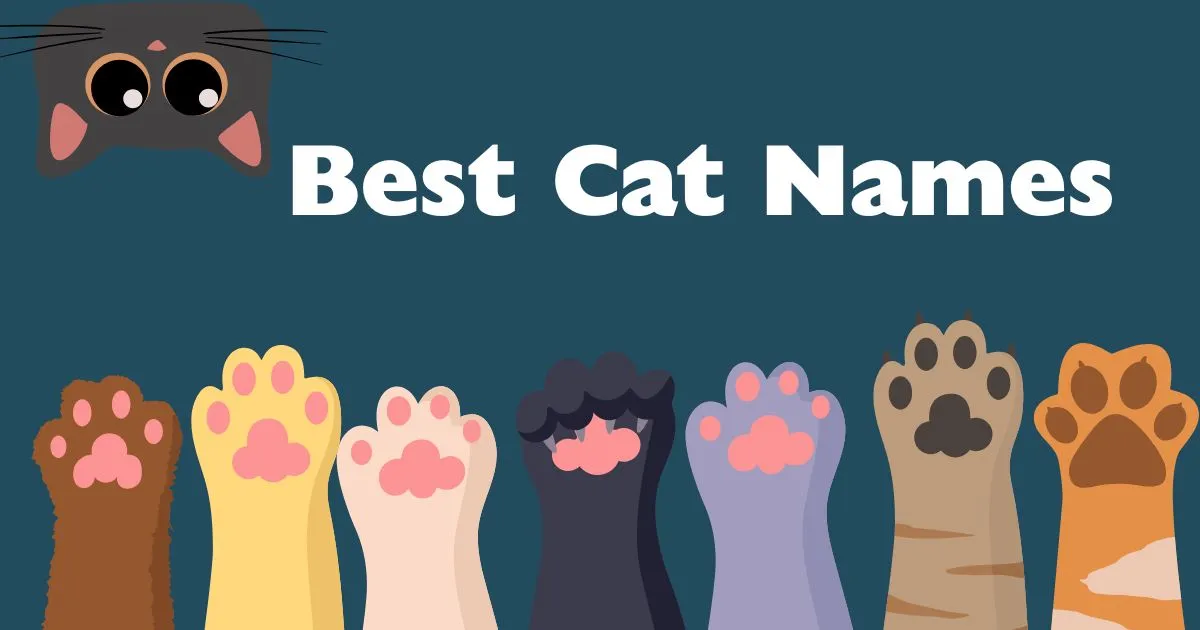 best cat names