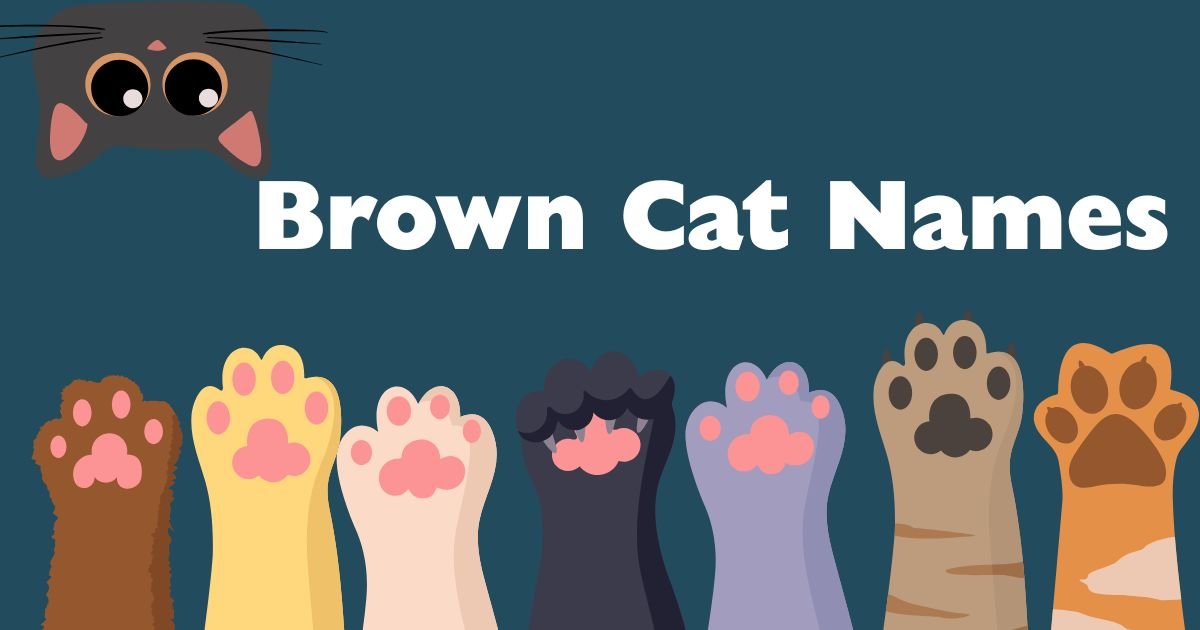 brown cat names