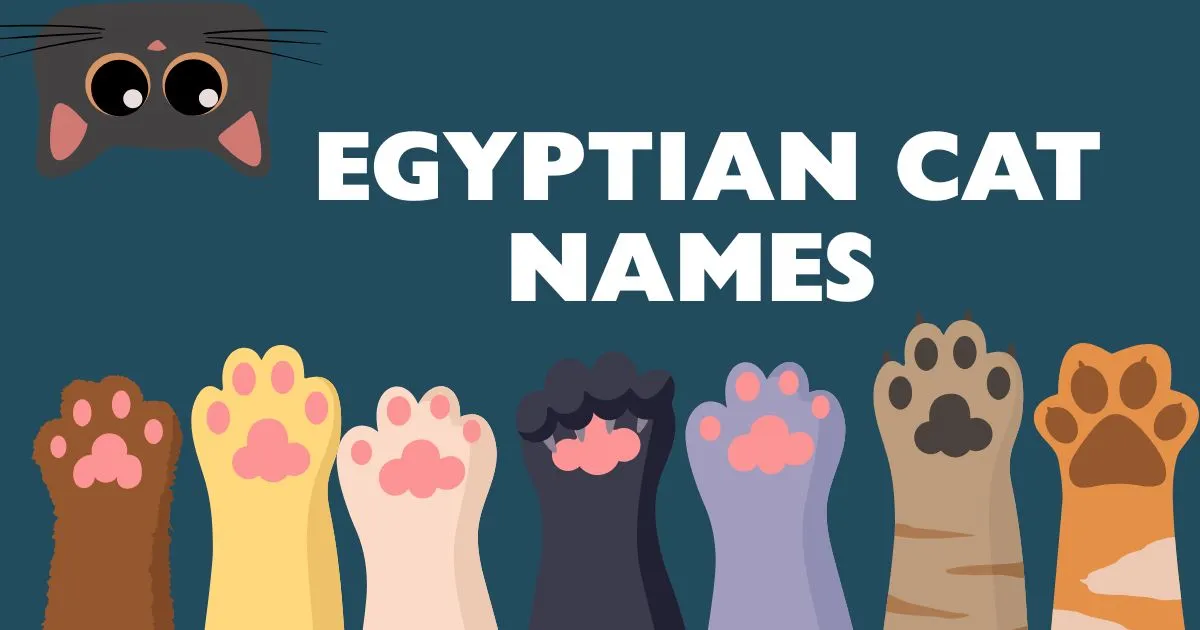 egyptian cat names