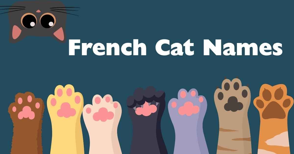 french cat names