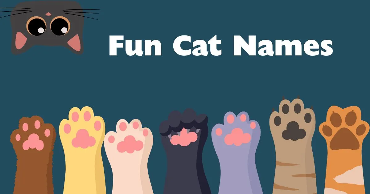fun cat names