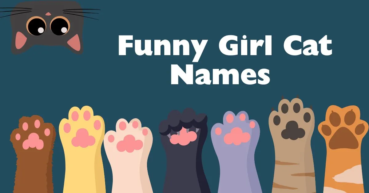 funny girl cat names