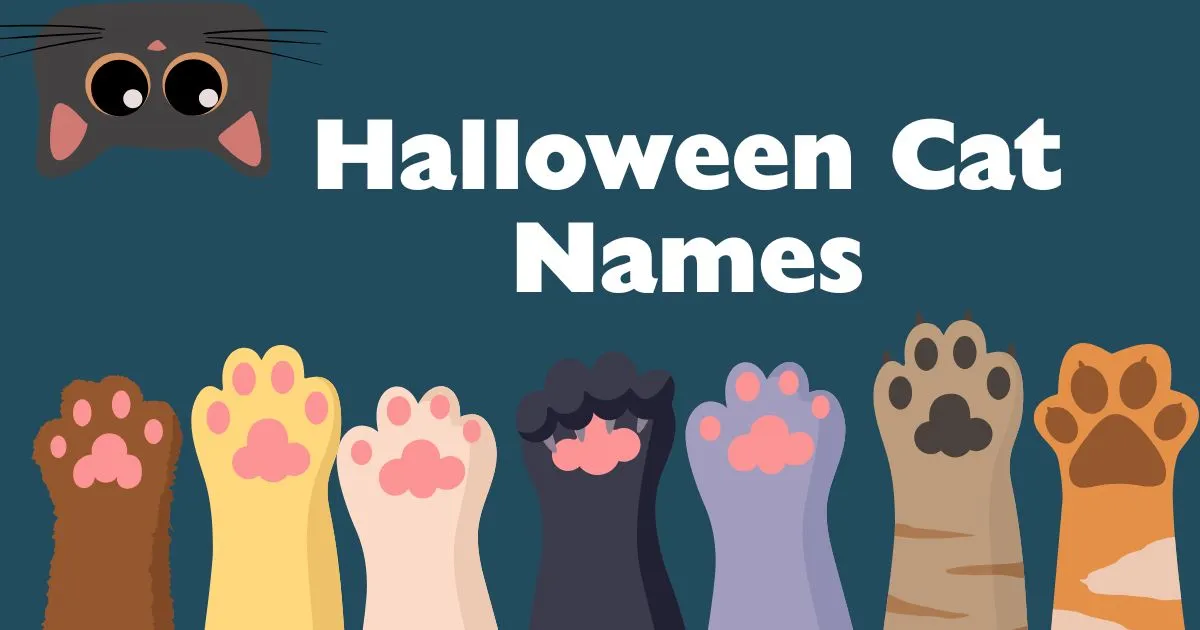 halloween cat names