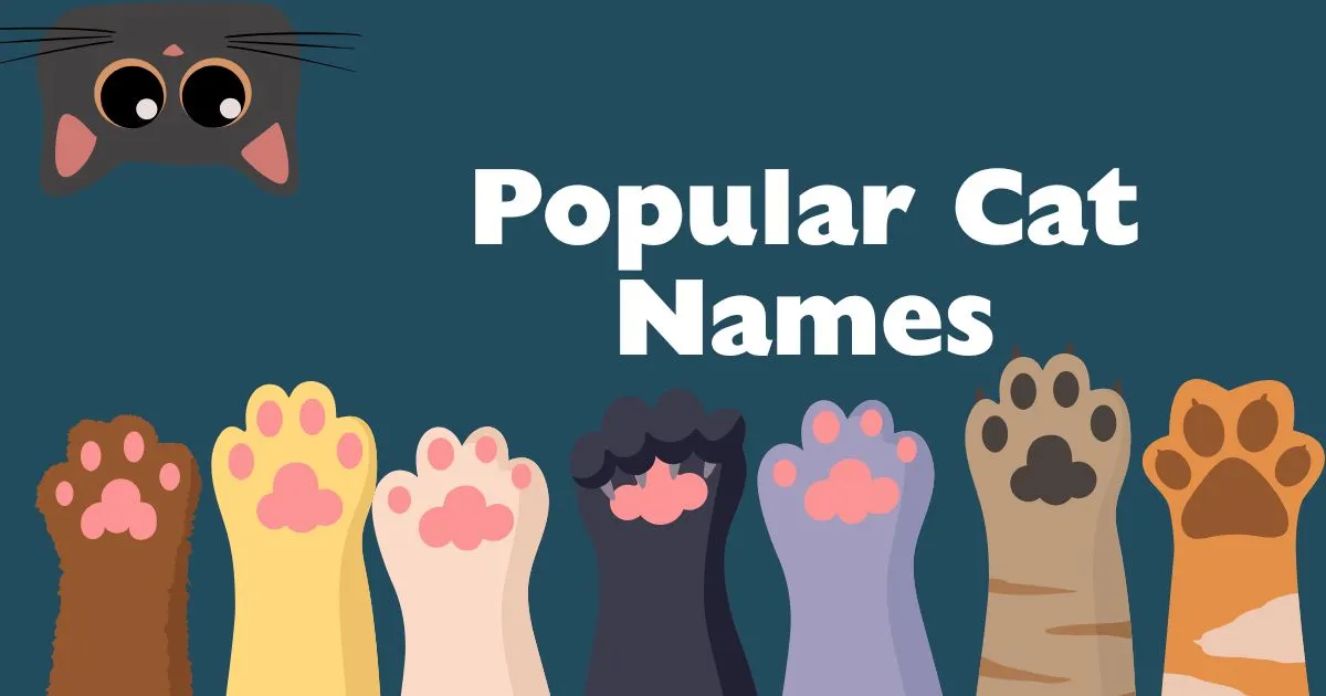 popular cat names