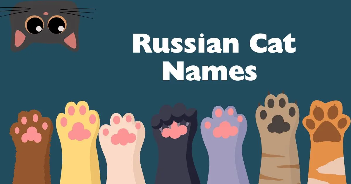 russian cat names