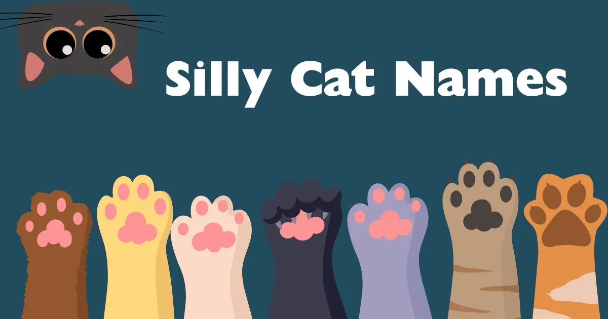 silly cat names