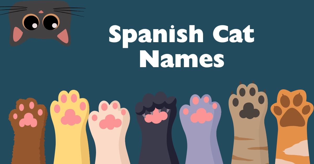 spanish cat names