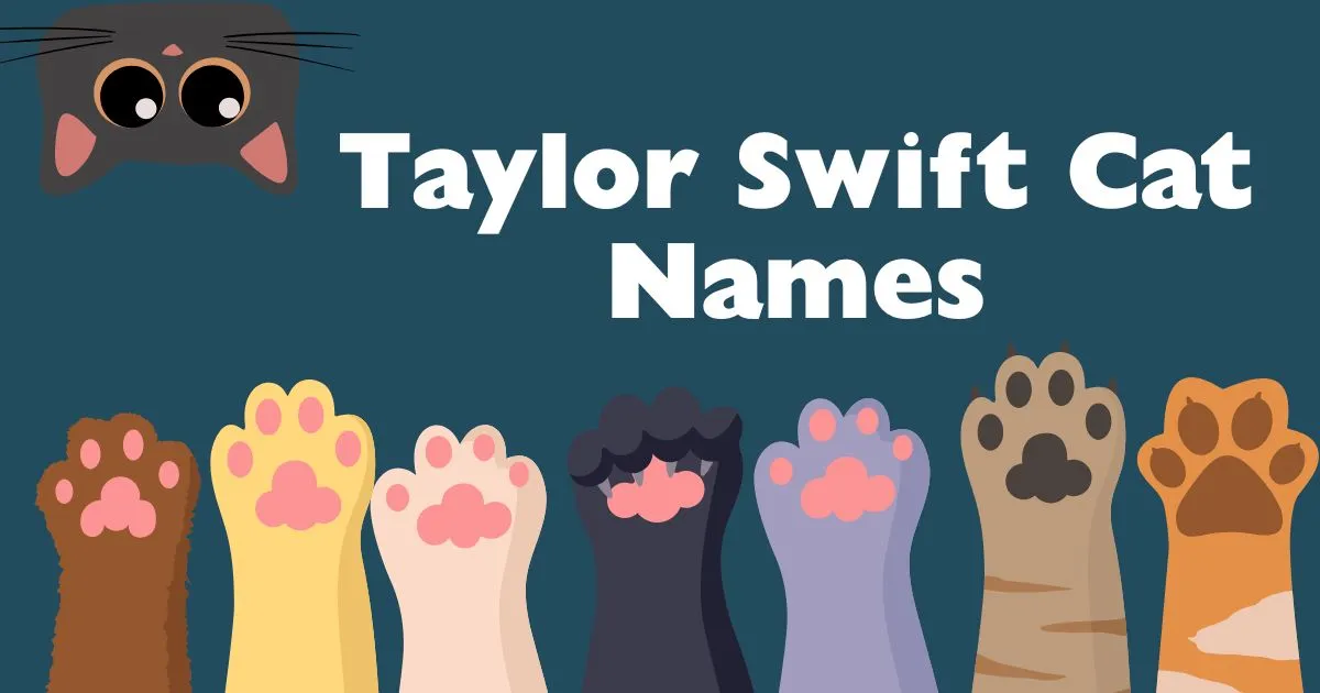 taylor swift cat names