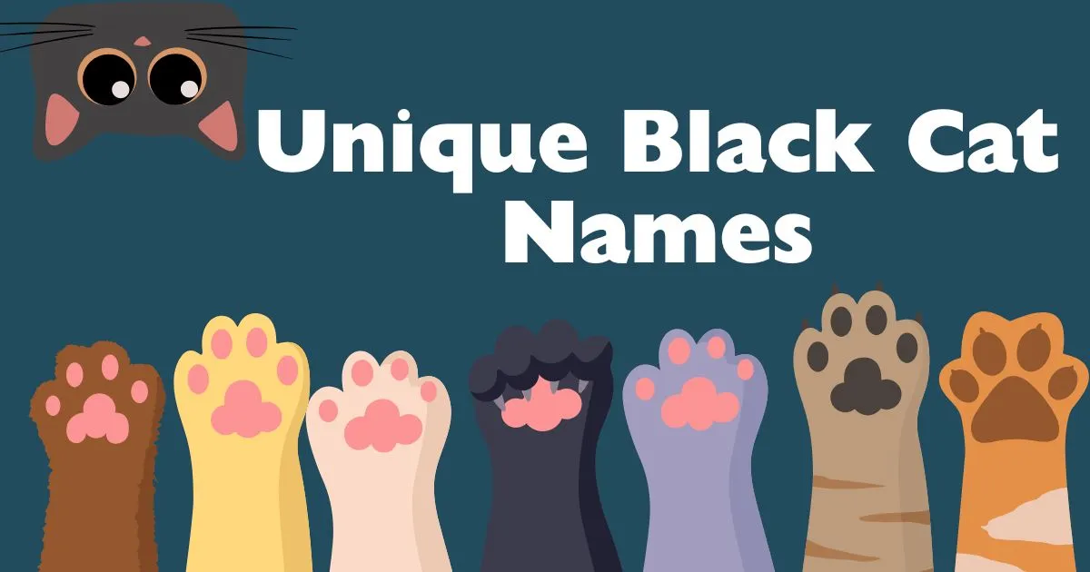 unique black cat names