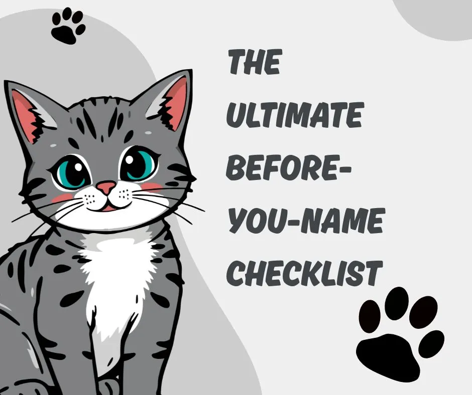 unique boy cat names