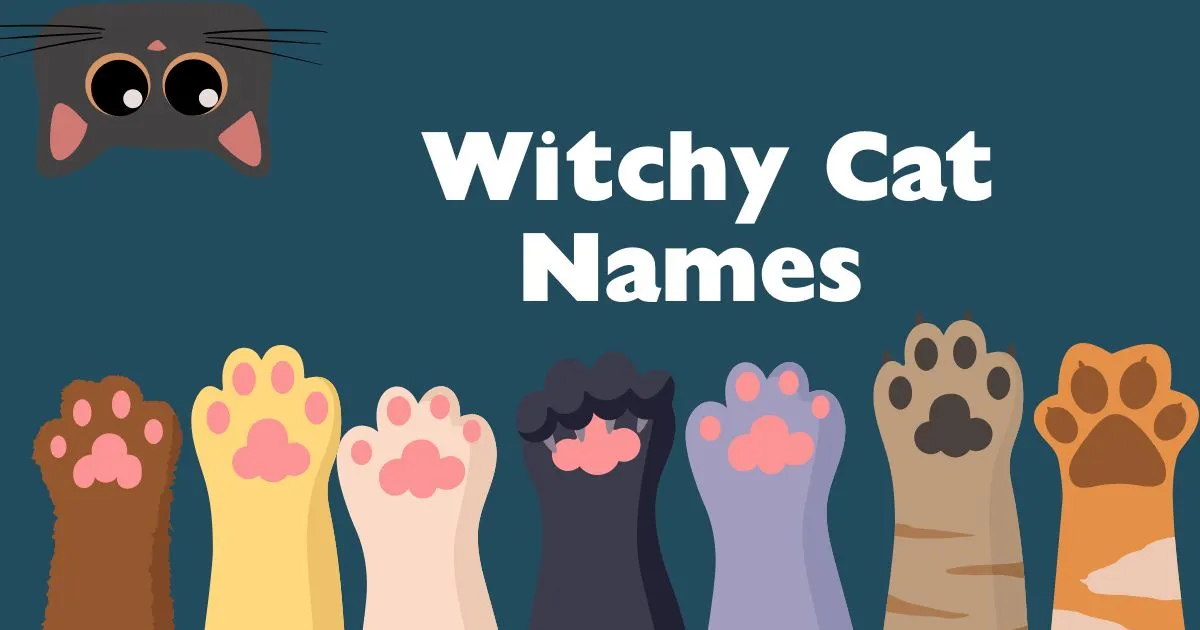 witchy cat names