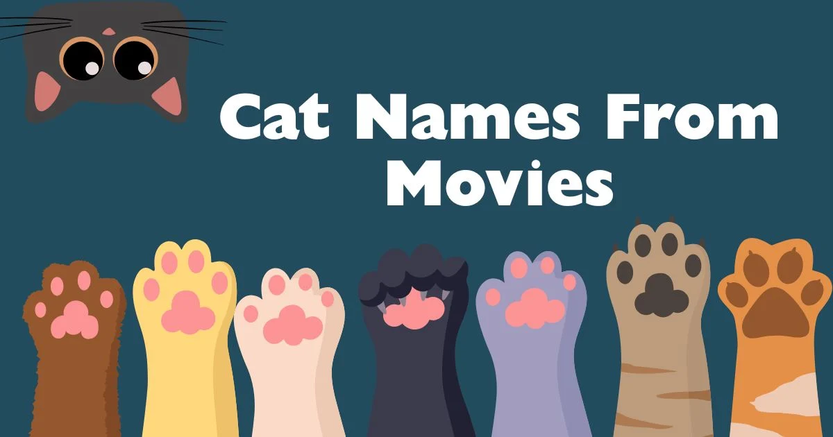 cat names from movies