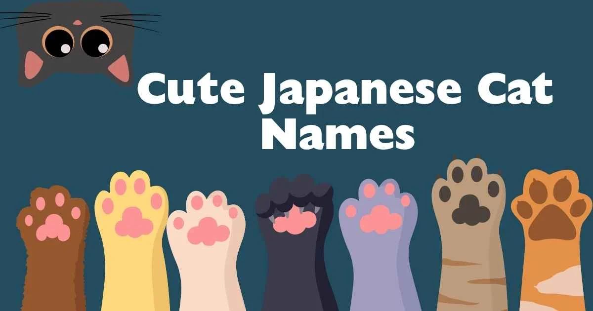 cute japanese cat names