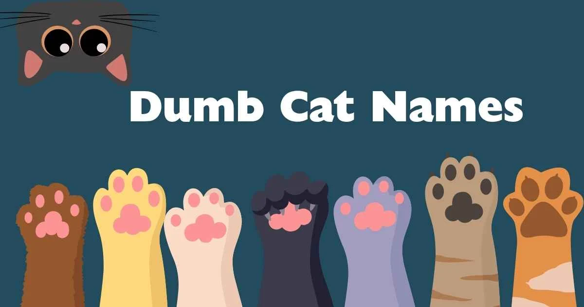 dumb cat names