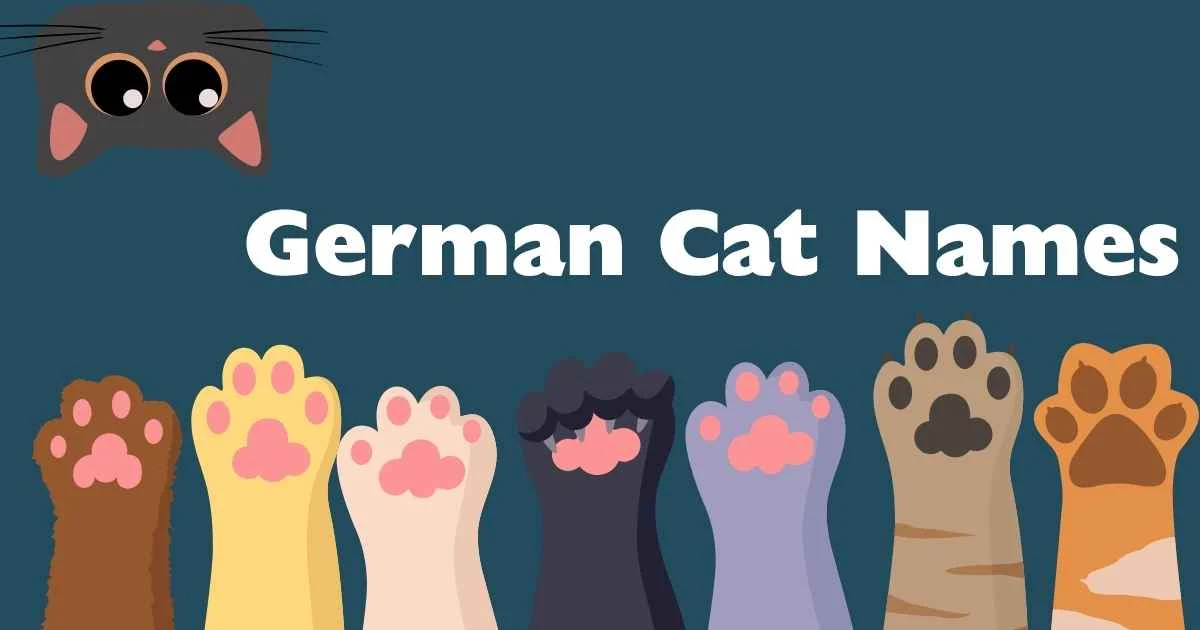 german cat names