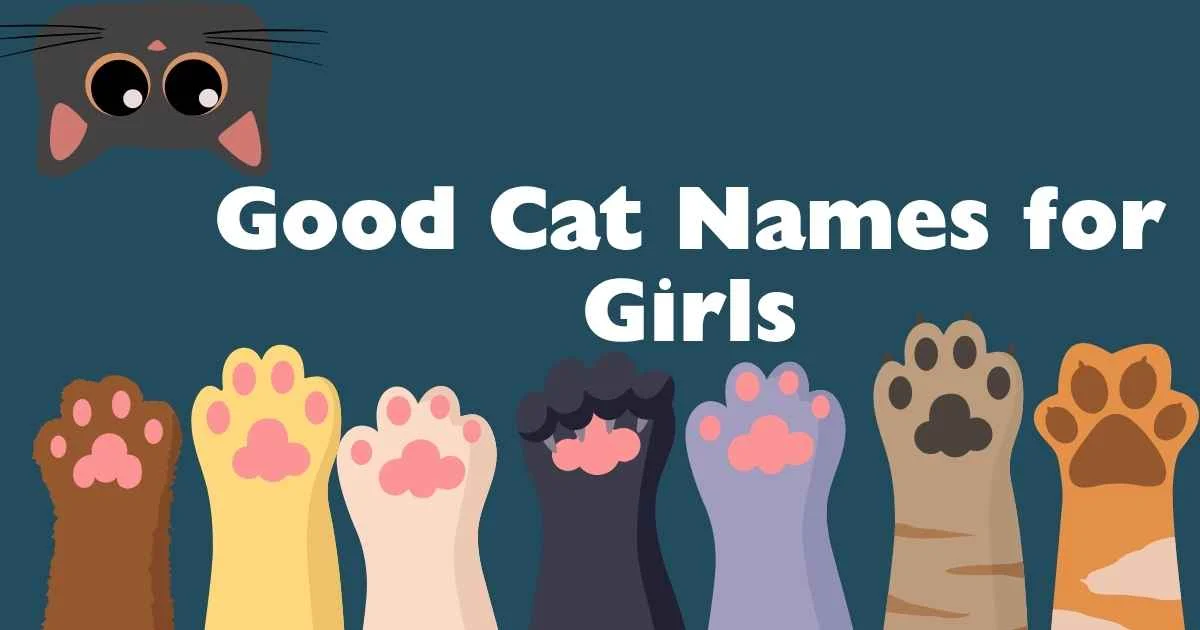 good cat names for girls