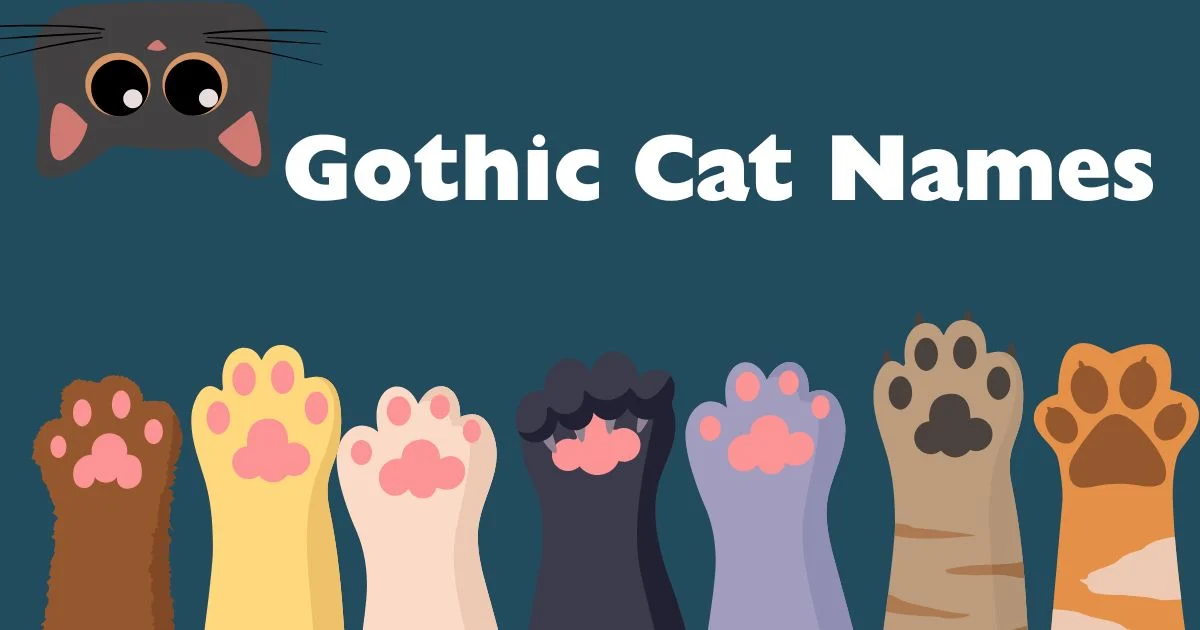 gothic cat names