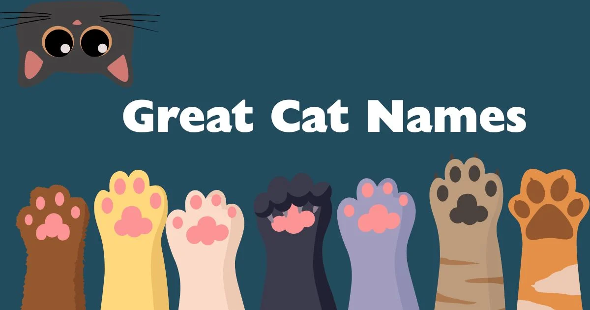 great cat names
