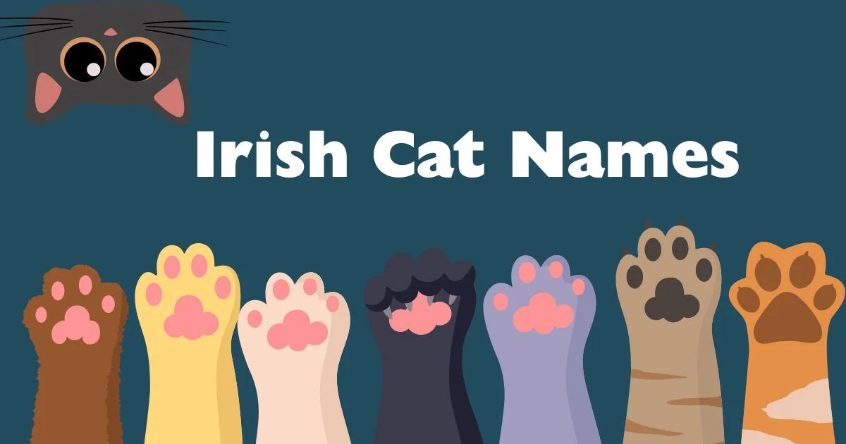 irish cat names
