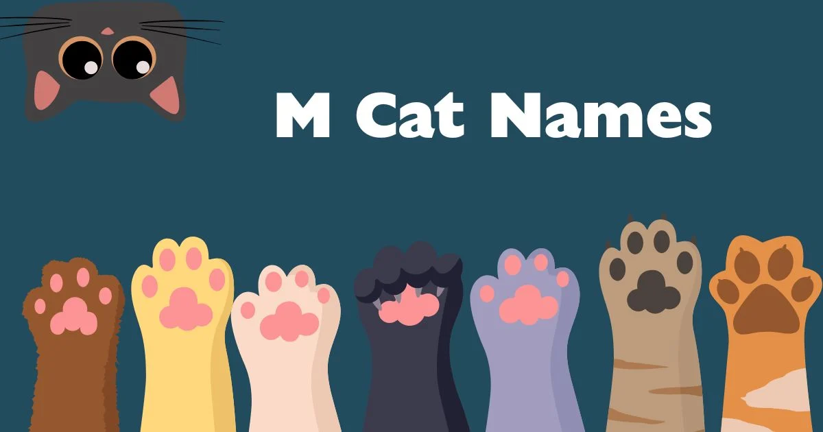 m cat names