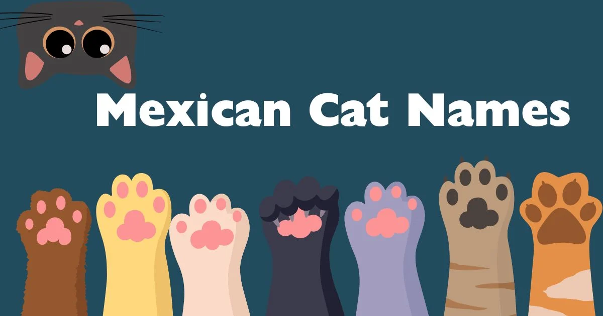 mexican cat names