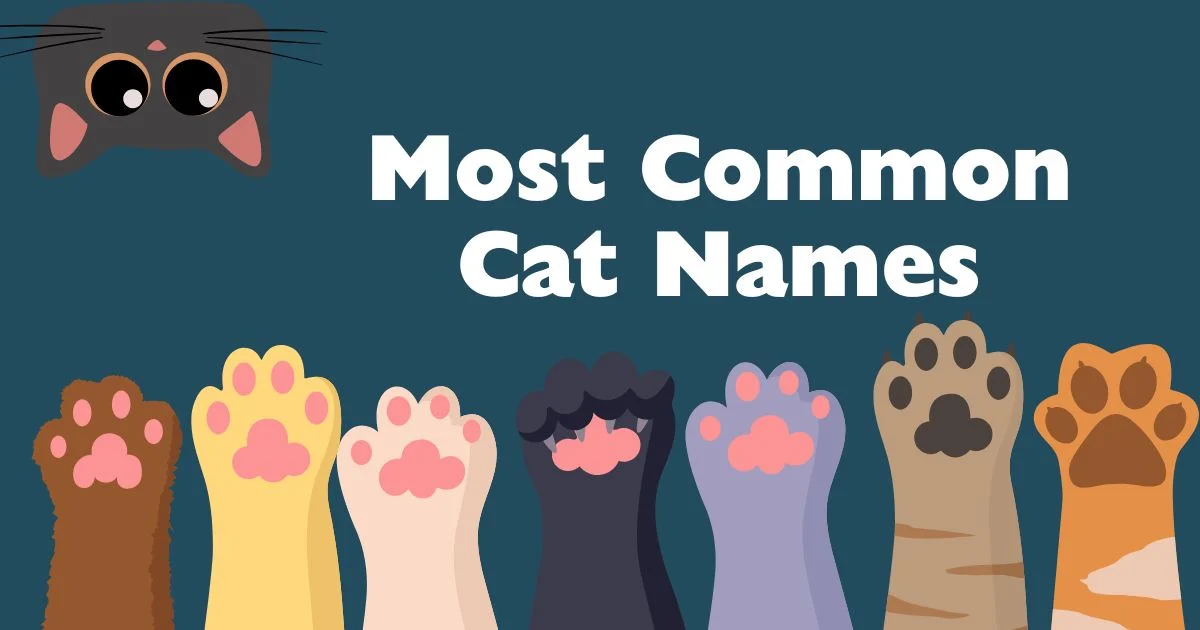 most common cat names