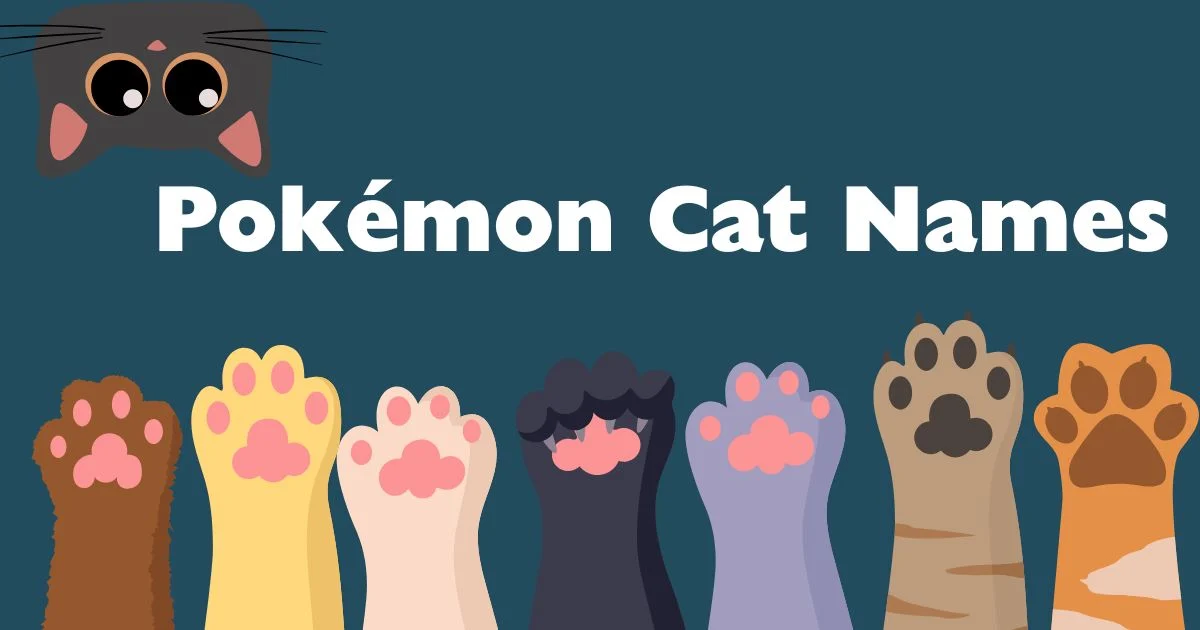 pokemon cat names