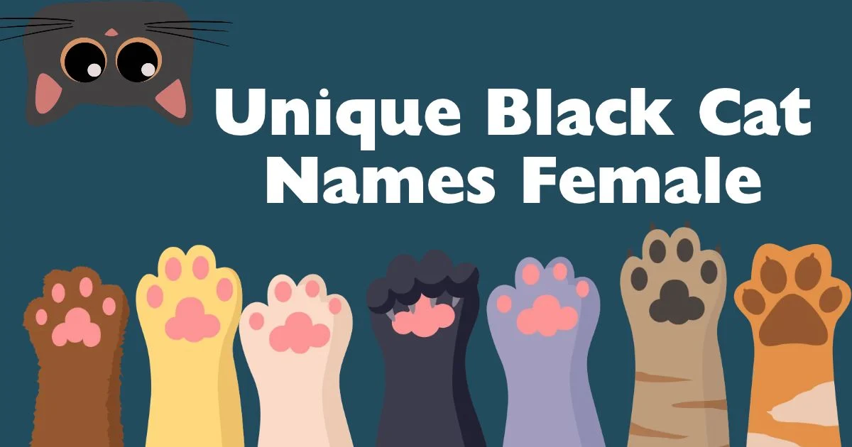 unique black cat names female