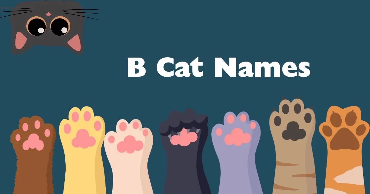 b cat names
