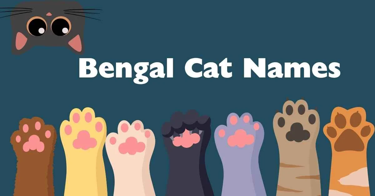 bengal cat names