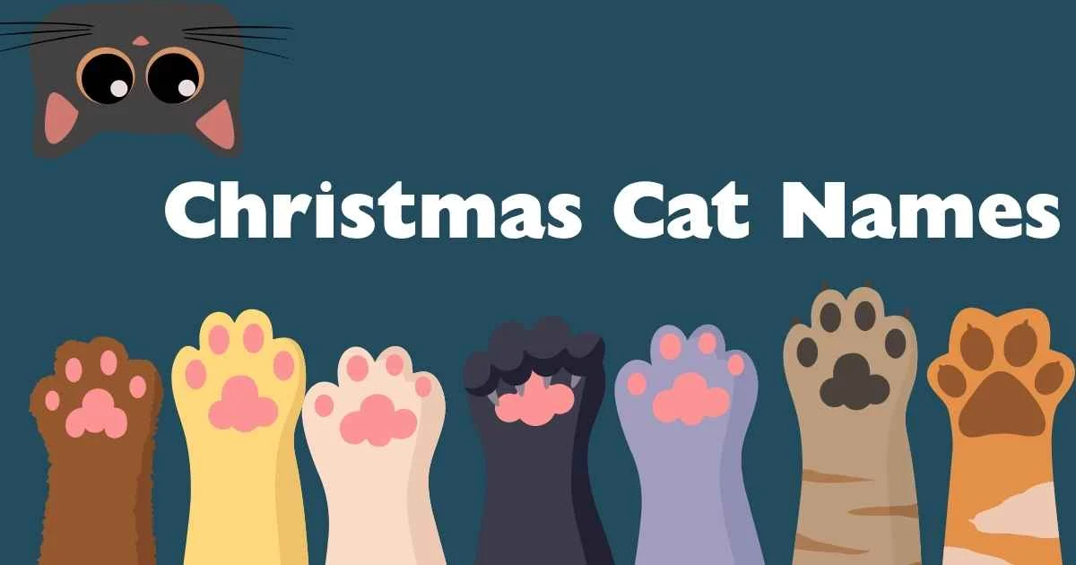 christmas cat names