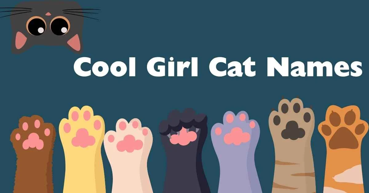 cool girl cat names