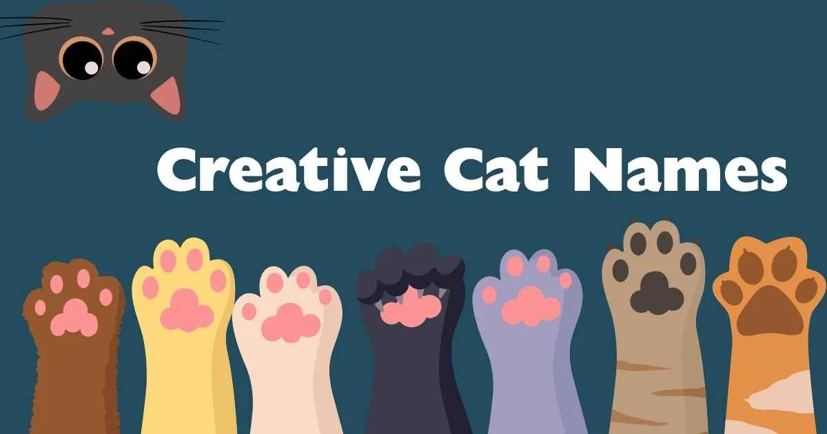 creative cat names