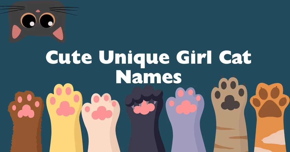 cute unique girl cat names