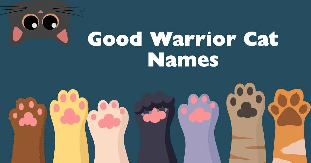 good warrior cat names