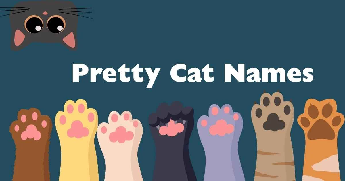 pretty cat names