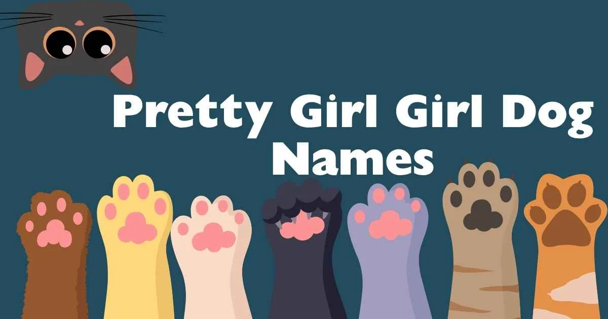 pretty girl girl dog names