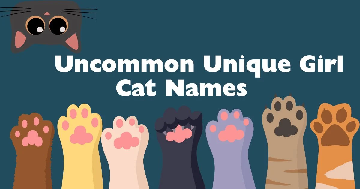 uncommon unique girl cat names